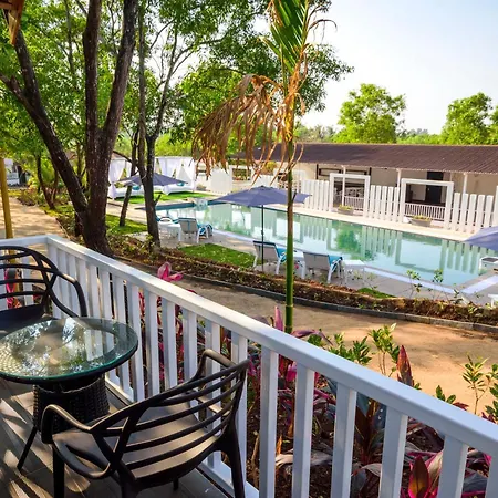 White Wood Resort By Stone Wood Hotels Morjim Exterior photo