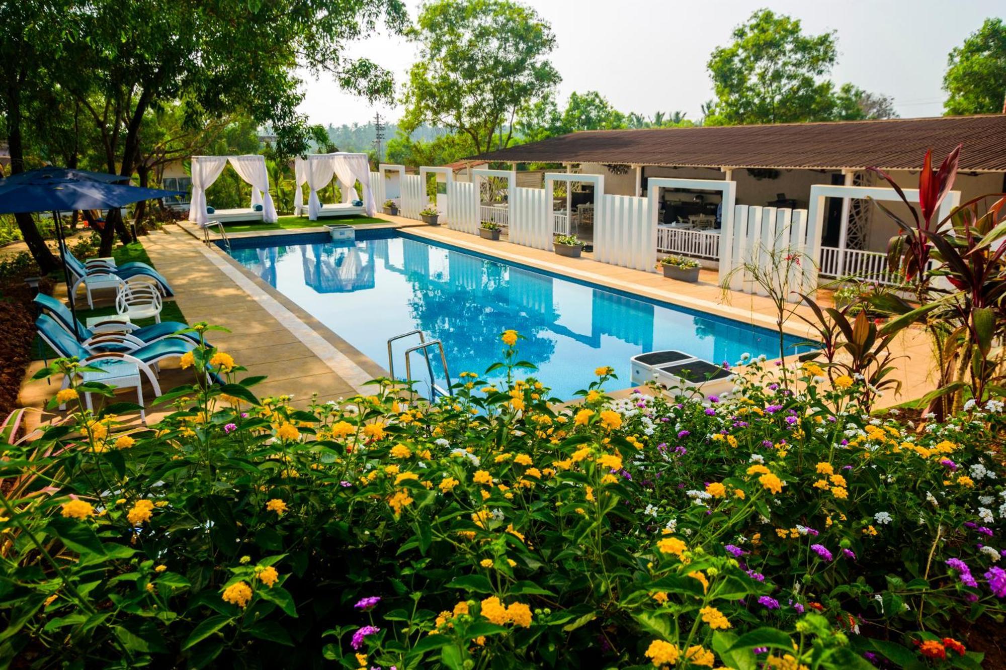 Resort White Wood By Stone Wood