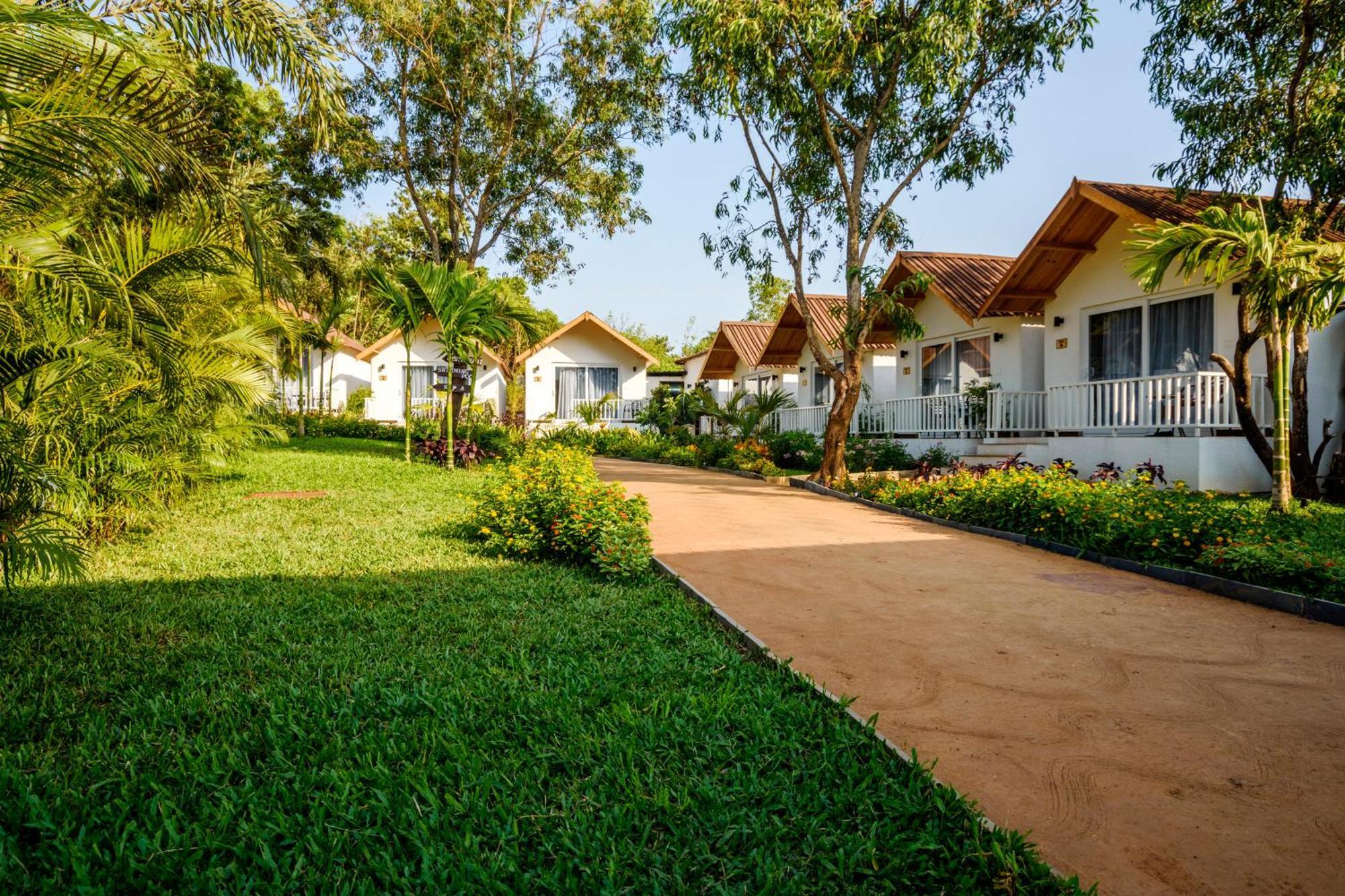 Resort White Wood By Stone Wood Morjim