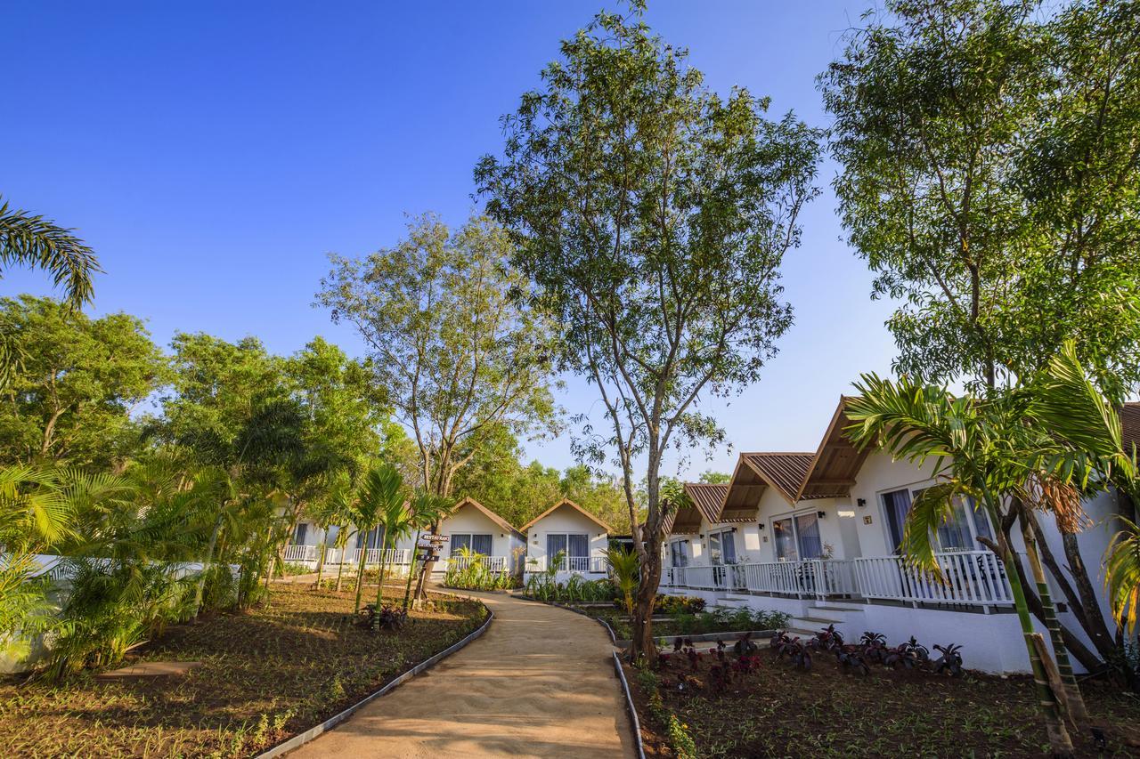 White Wood By Stone Wood 3* Morjim